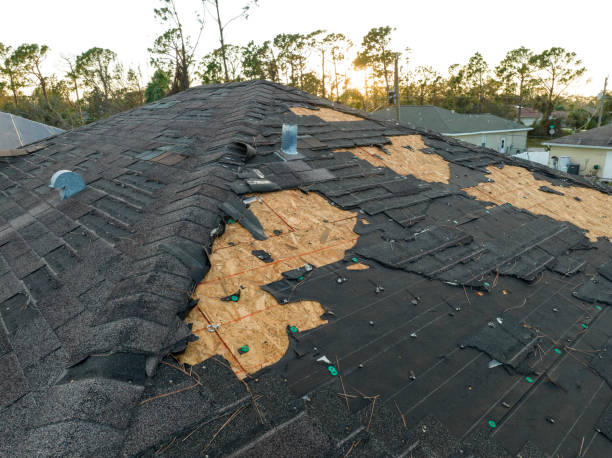 Skylights in Agua Dulce, TX