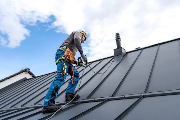 Professional Roofing service in Agua Dulce, TX